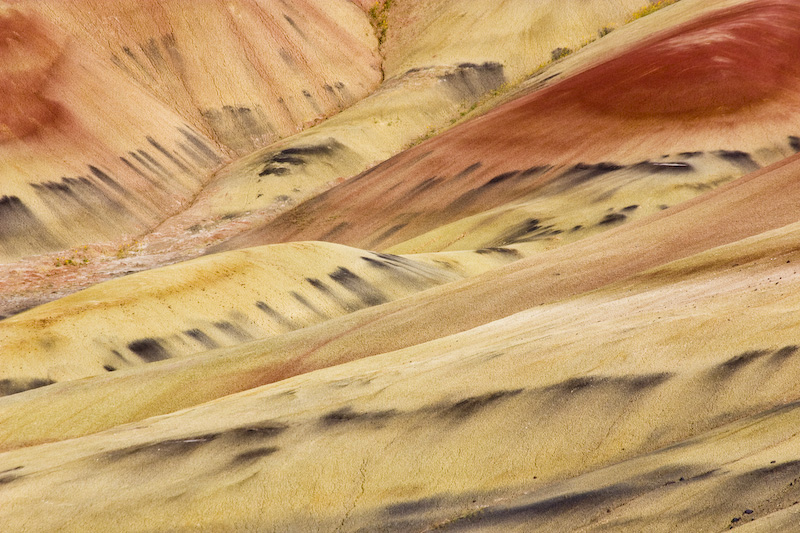 Detail Of The Painted Hills